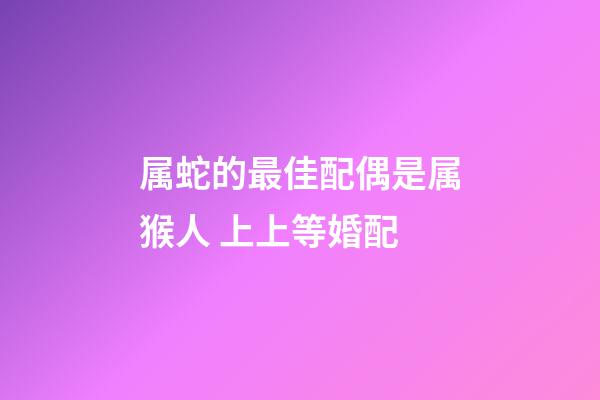 属蛇的最佳配偶是属猴人 上上等婚配